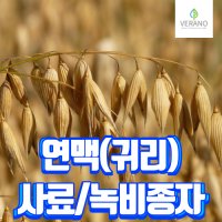 연맥 귀리 종자 20kg 1포 300평 파종가능/ 사료용 녹비용 봄 가을 이모작  1개