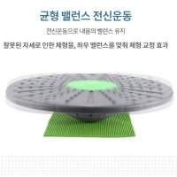 근육 밸런스 코어 쿠션 운동 기구 발란스 허리강화