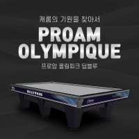 허리우드 프로암 올림피크 노블화이트 국제식대대 당구대 당구장당구대 국제식당구대 허리우