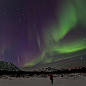 캐나다 오로라 3박 4일 투어 - 유콘 준주 화이트홀스(뷰잉 ONLY)