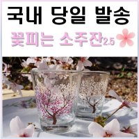 벚꽃 소주잔 꽃피는 소주잔 꽃피는 술잔 사케잔 대선 진로 소주 수정방  (한정판)벚꽃피는소주잔1P