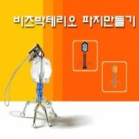 비즈박테리오 파지만들기(10인용)