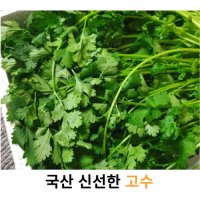 국내산 신선한 고수 100g 200g 300g 국산 고수풀 싱싱한 고수나물 라우무이 라우응오 베트남식재료 아시아식재료  1개