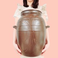 밥심 쌀항아리 쌀독항아리 옹기쌀독 5kg 15kg 25kg 쌀벌레안생기는 쌀통