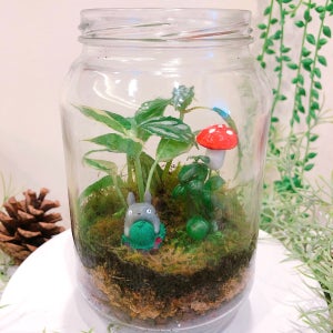 타이중｜미니 풍경 생태병 DIY 체험