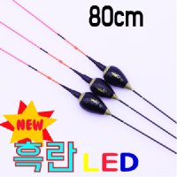 자자손손 NEW 흑란 5LED LED전자찌 민물전자찌  3호 - 5g  레드