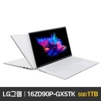 LG전자 16ZD90P-GX5TK SSD 1TB 교체 mi