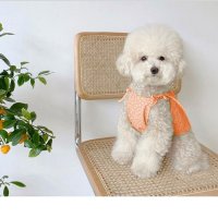 PET DOG 강아지 옷 원피스 드레스 나시 리본 꽃무늬