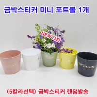 샤인몰 메종포트볼 국산 1개 5칼라선택 금박스티커랜덤 플라스틱화분 어버이날화분