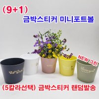 샤인몰 금박레터링 미니포트볼 10개 5칼라선택 물구멍있는 플라스틱화기 5월달 행사용품