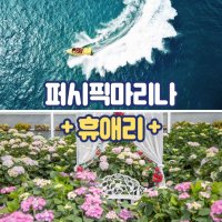 [제주도] 제주 퍼시픽 마리나 제트보트 + 휴애리 PKG (성인, 청소년, 소인)