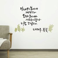 디자인엠 다크그레이 풀꽃 대형 캘리그라피스티커 포인트스티커 인테리어 감성 글귀 명언 좋은말 좋은글 벽 장식