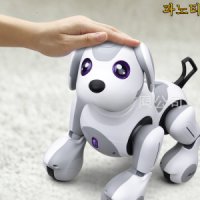 애완용 로봇강아지 아이보 로봇 인공지능 지능형 음성 파노티