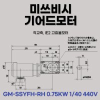 미쓰비시 기어드모터 GM-SSYFH-RH 0 75KW 1 40 220V