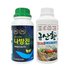 규산황 최저가 가성비상품