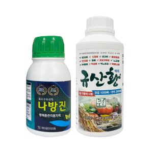 규산황 최저가 가성비상품