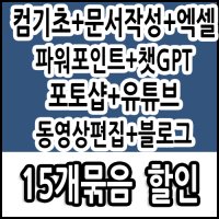 컴퓨터기초 한글 문서작성 엑셀 파워포인트 ppt 챗GPT 포토스케이프 블로그 유튜브 유튜버 프리미어 프로 동영상편집 포토샵 교육 15강좌