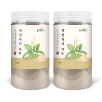 동의한재 차전자피 가루 분말 1kg 500g x 2통