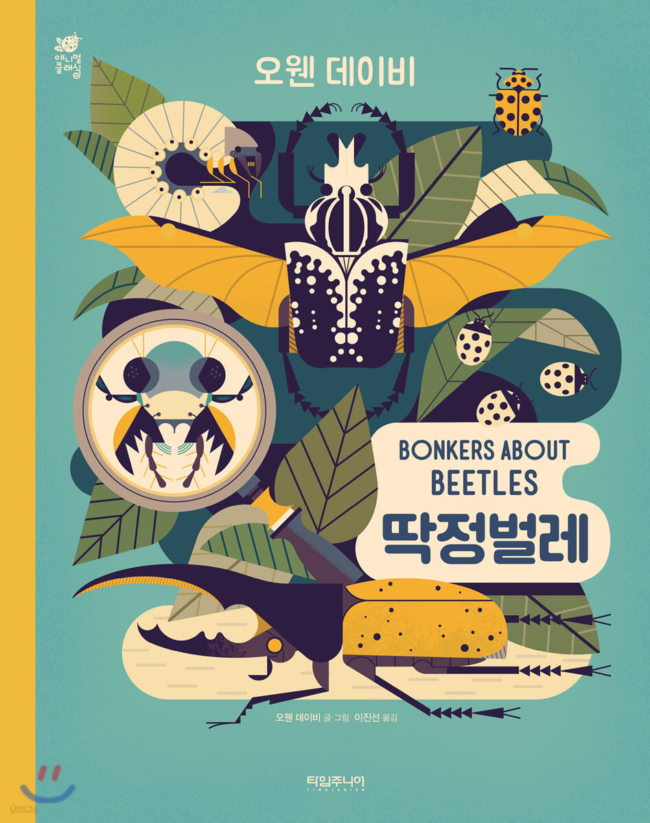 딱정벌레