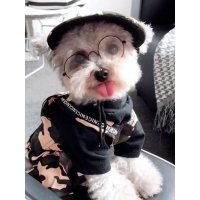 강아지 고양이 모자 생일모자 액세서리 베레모 야구 오리 혀