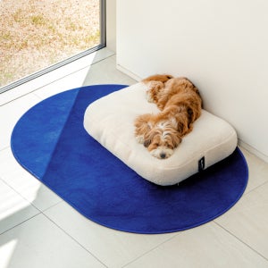 [라익디스] 미니멀 펫 쿠션 강아지방석 고양이 반려동물 사계절 사각 원형 쿠션