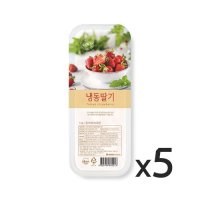 [업체발송] 복음자리 냉동 가당 딸기 1kg 5개