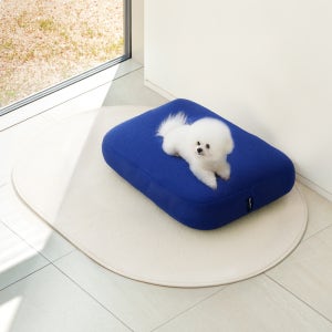 [라익디스] 미니멀 펫 쿠션 강아지방석 고양이 반려동물 사계절 사각 원형 쿠션