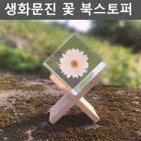 생화문진 꽃 북스토퍼 레진 선물 플라워 독서 데이지