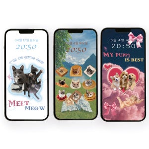 감성 반려동물🌻사진 콜라주 커스텀 배경화면 폰꾸미기, 벨리뮤