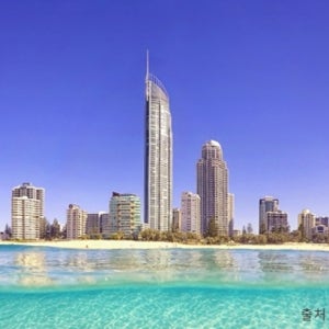 시드니/브리즈번/골드코스트 6일/7일 #트로피칼프룻월드 #스카이포인트