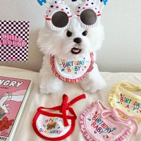 강아지 고양이 생일 파티 케이프 강아지빕 반려견 턱받이 생일케이프