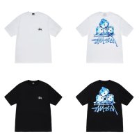 스투시 멜티드 티셔츠 코랄 Stussy Melted T-Shirt Coral