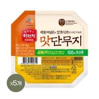 CJ제일제당 하선정 4 맛단무지 260g x5개