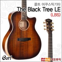 콜트 어쿠스틱 기타PH The Tree LE LBS 픽업