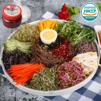 냉면전문점 해든막국수10인분 비빔장500g