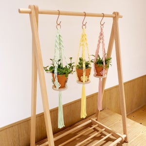 컬러 플랜트행거 , 박하여우