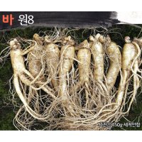 햇수삼!! 삼키우는마을 고려수삼 세척 무세척 수삼 가정용  바.원8-700g-무료세척