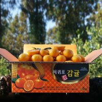 귤담원 제주 제철 감귤  06.감귤 5kg 소과(2S)  1박스