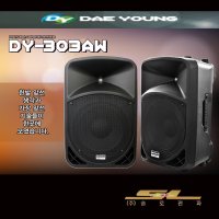 대영음향 DY-303AW 전기용 700W 포터블 앰프  핸드+색소폰