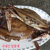 해마을 국내산 꽃게장 밥도둑 간장게장  암꽃게 4마리