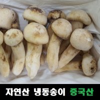 송이버섯 자연산 냉동 중국산  1등급 1kg  1개