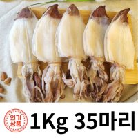 [웅이네] 한치 1kg 반건조 우유빛 부드러운 AAA급 20미 30미 40미 영업집 대용량  35미 (1kg)  1개