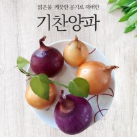 훈훈영농조합법인 기찬양파 국내산 양파 깐양파 빨강양파 3kg 5kg 10kg  1박스  옵션4-2 국내산 깐양파 5kg(중품)