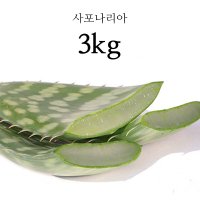 프리미엄 생알로에 베라 사포나리아 식용 알로에 알로에화분 2kg 3kg 5kg  1박스  사포나리아 3kg