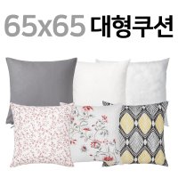 이케아 RODBINKA/HASSLEKLOCKA/HASTFIBLA/URSULA/65x65/쿠션커버/침대헤드쿠션/이케아 쿠션커버  05 FJADRAR 503.727.76