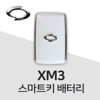 XM3 스마트키 건전지 차키 배터리 밧데리 약  10개