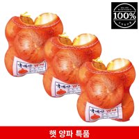 무안 햇 양파 1망 1kg 내외 대 중 소  3개  1kg내외