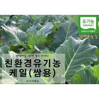 친환경 유기농 케일 (쌈용/즙용)새벽수확 산지직송  쌈용 2kg  1개