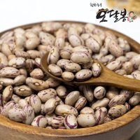 [특품] 호랑이콩 제비콩 매화콩 강낭콩 울타리콩 새알콩 수입산  1개  2kg