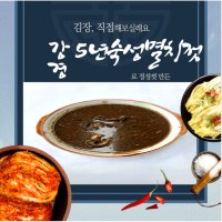 영진젓갈식품 멜젓 김치용 진젓국 5년 숙성 멸치젓  5kg  1개